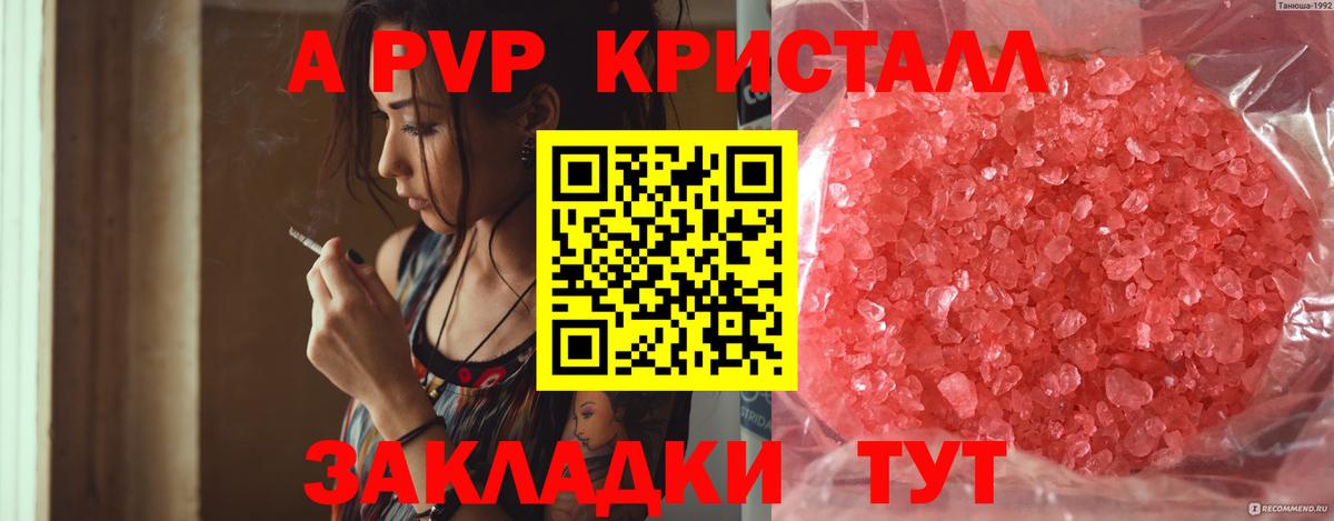 A-PVP СК Ачхой-Мартан