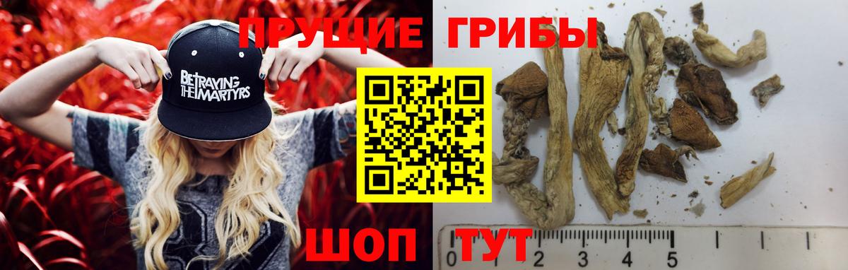 Галлюциногенные грибы GOLDEN TEACHER  Псилоцибиновые грибы мухоморы  где можно купить наркотик  Ачхой-Мартан 