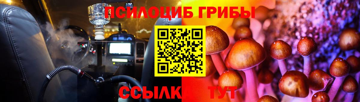 где найти   Псилоцибиновые грибы Psilocybine cubensis  Псилоцибиновые грибы Psilocybine cubensis  Вход с VPN  Ачхой-Мартан 