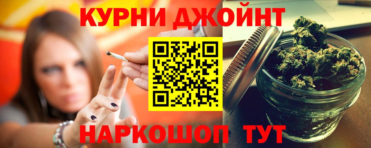 Бошки Шишки сатива  МАРИХУАНА сатива  Ачхой-Мартан  Марихуана планчик  Каннабис AK-47 