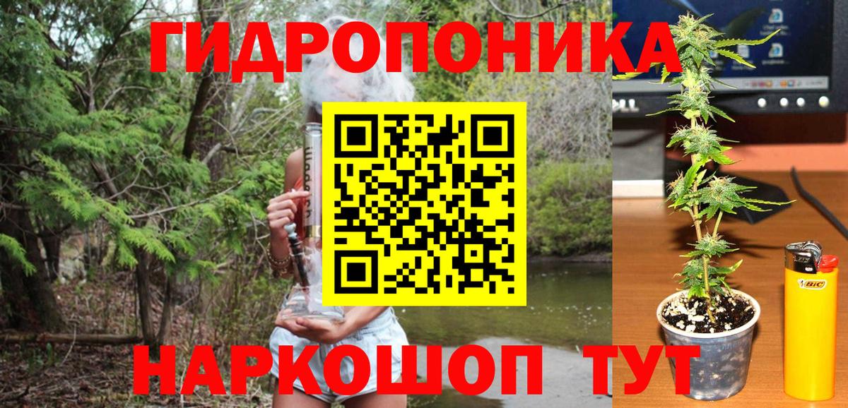 Ачхой-Мартан  Канабис LSD WEED  Вход с VPN  Канабис планчик 